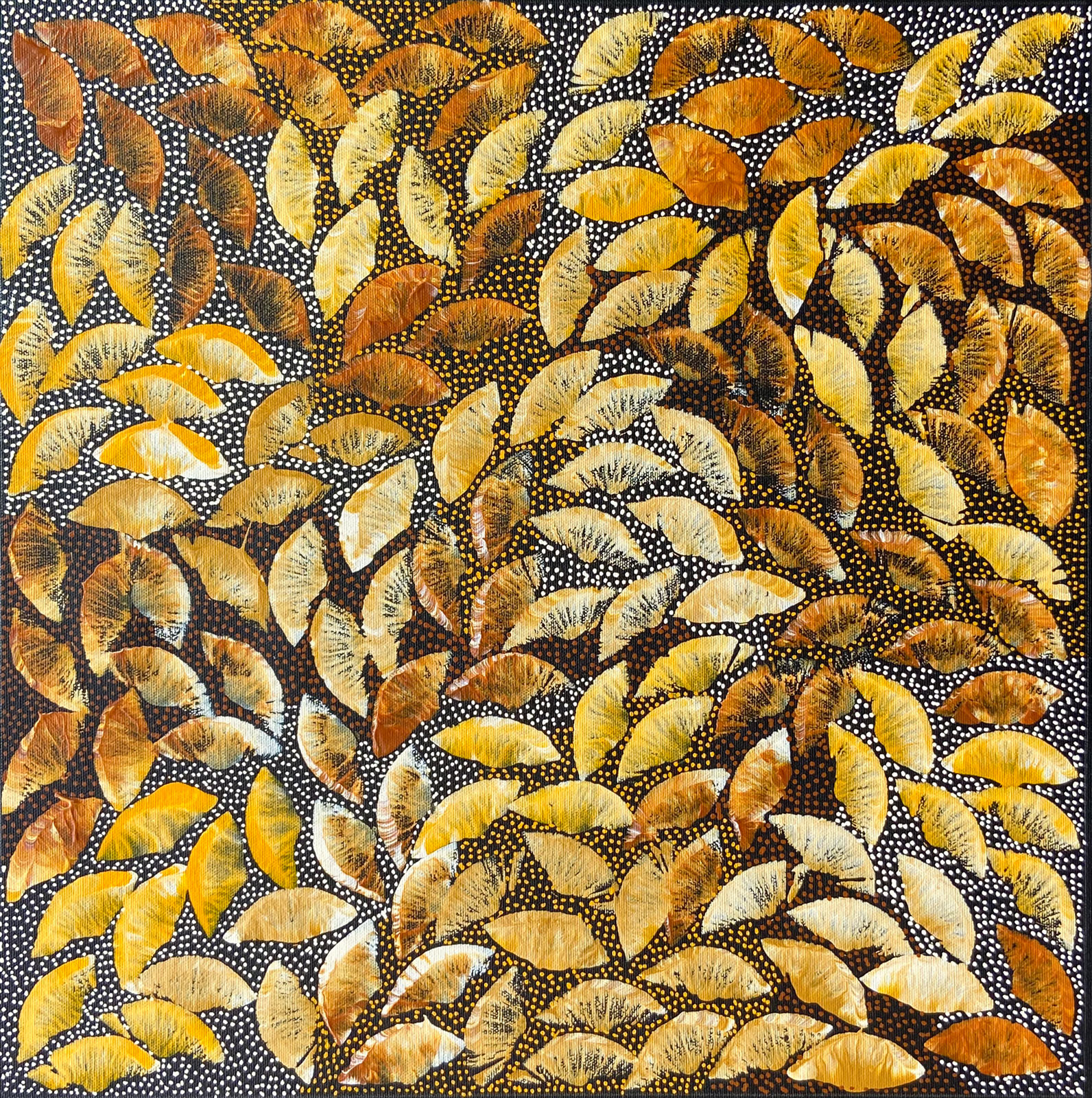 ブッシュメディスン