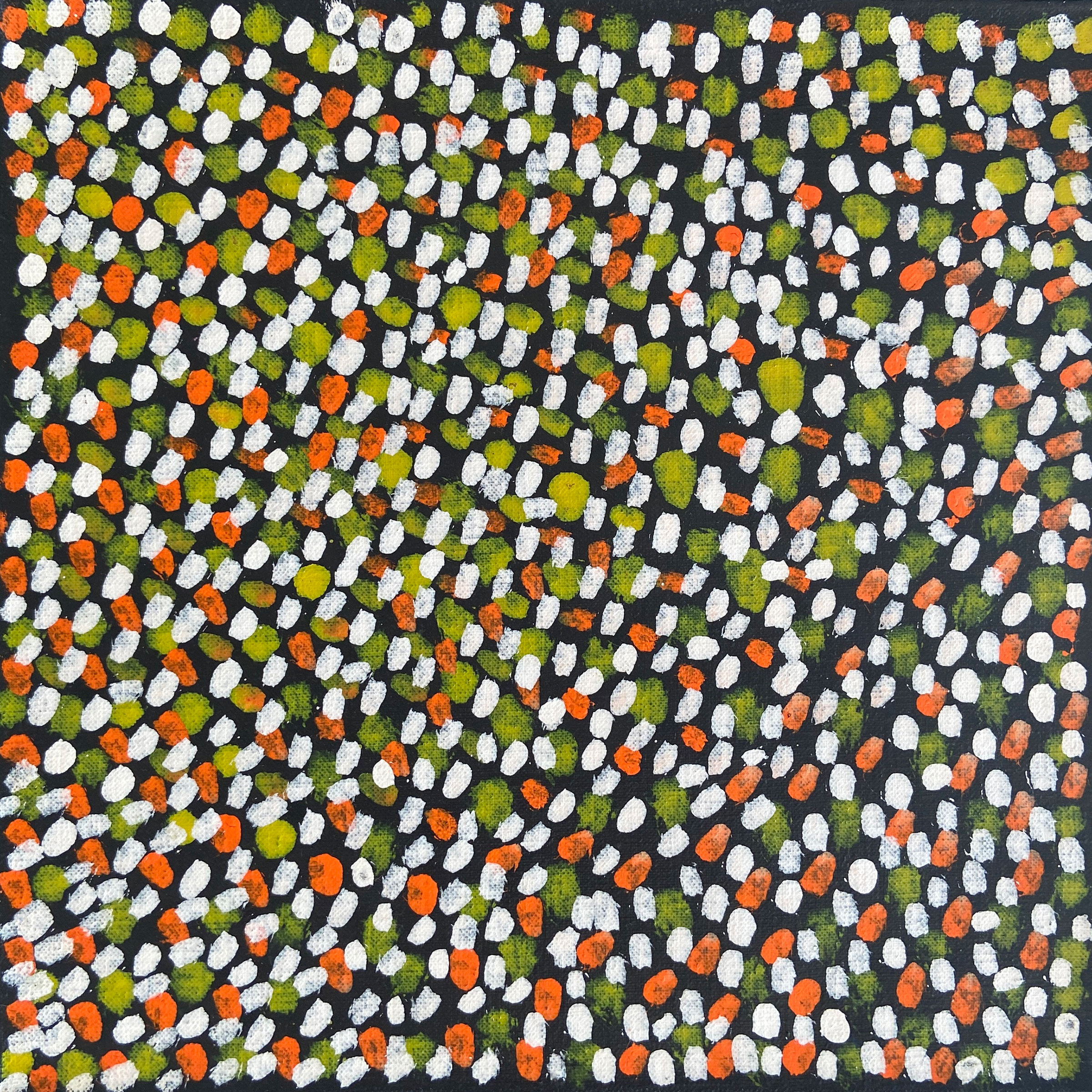 ブッシュプラムドリーミング