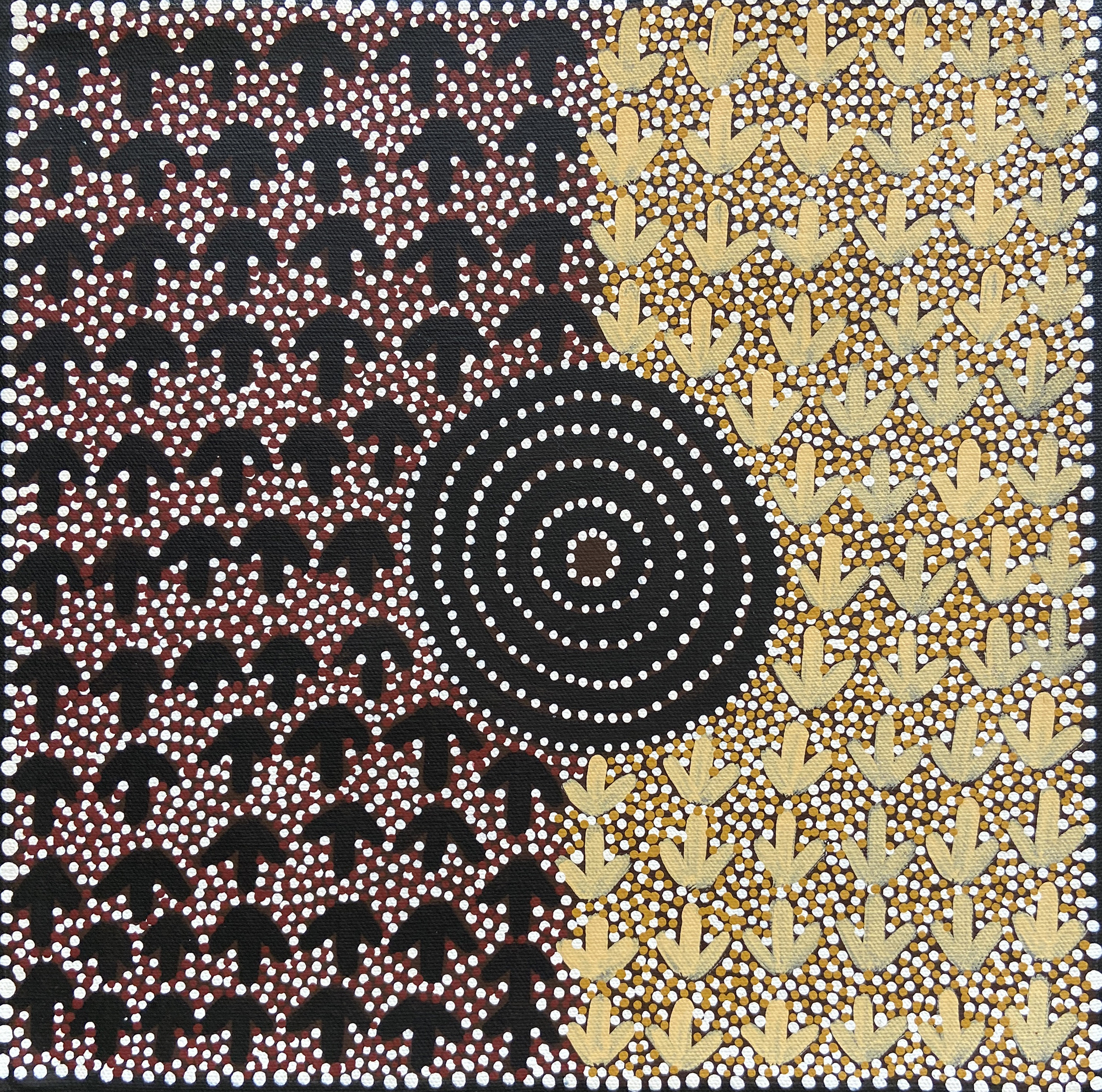 ワイルドピジョンドリーミング