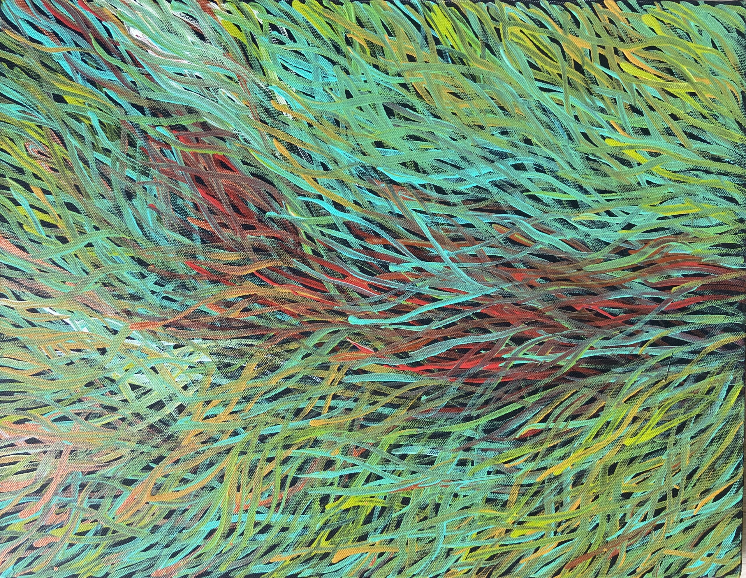 グラスシード・ドリーミング