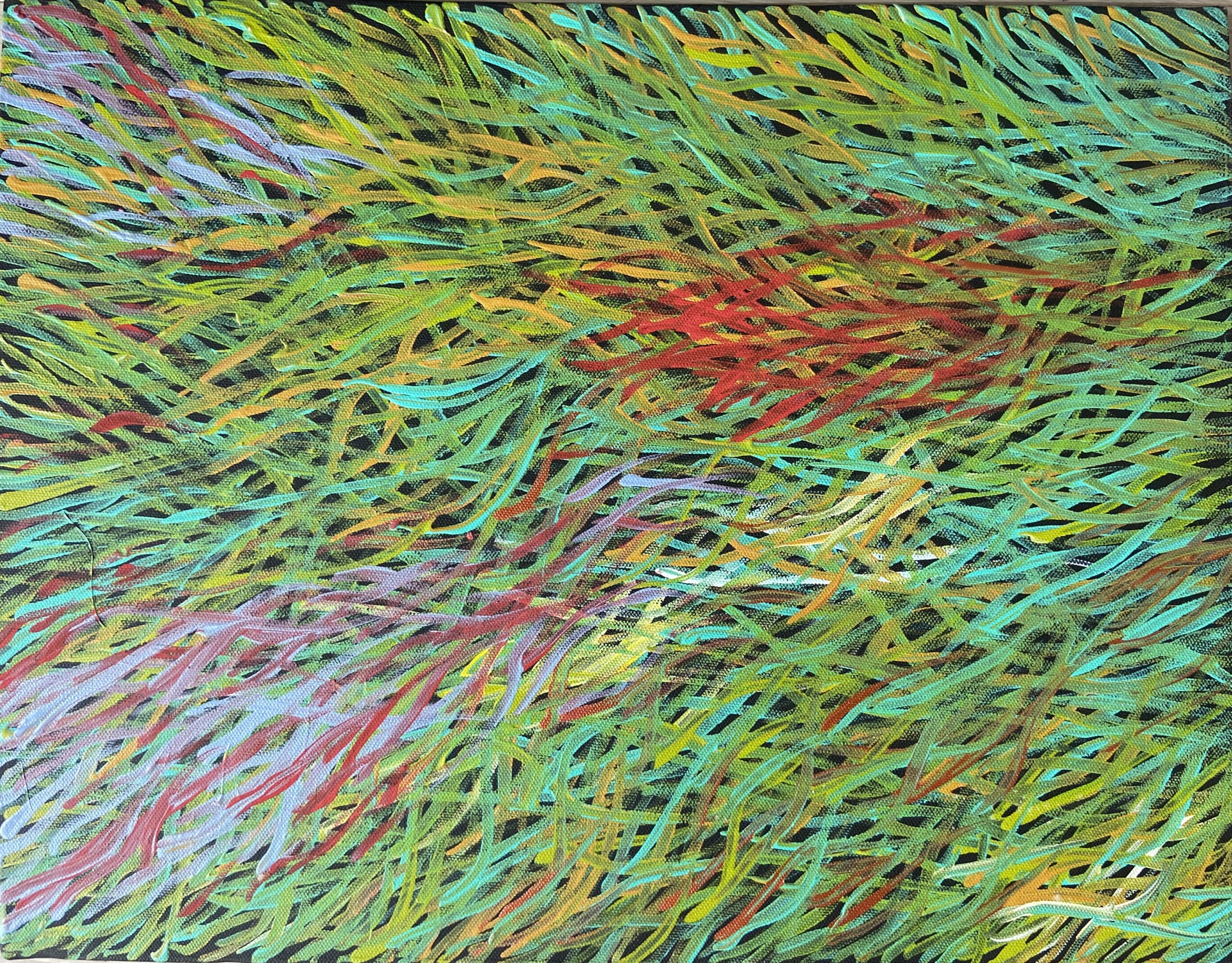 グラスシード・ドリーミング