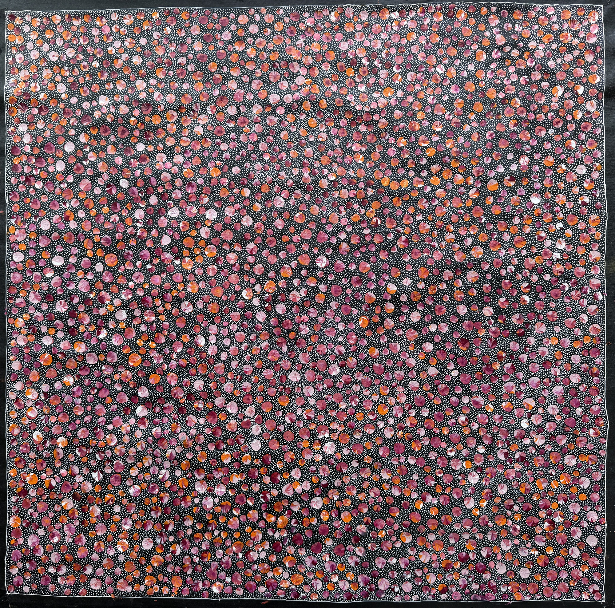 ブッシュプラムドリーミング