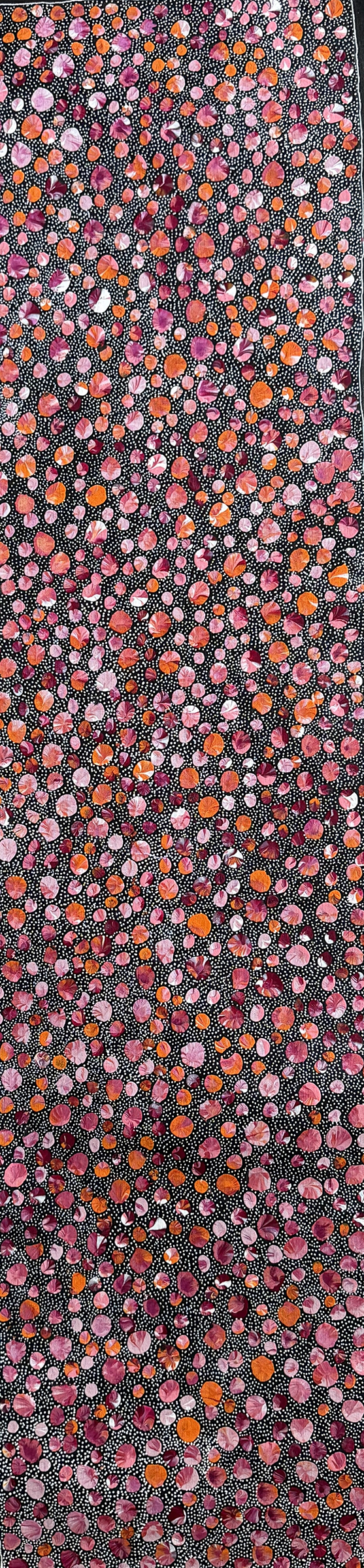 ブッシュプラムドリーミング