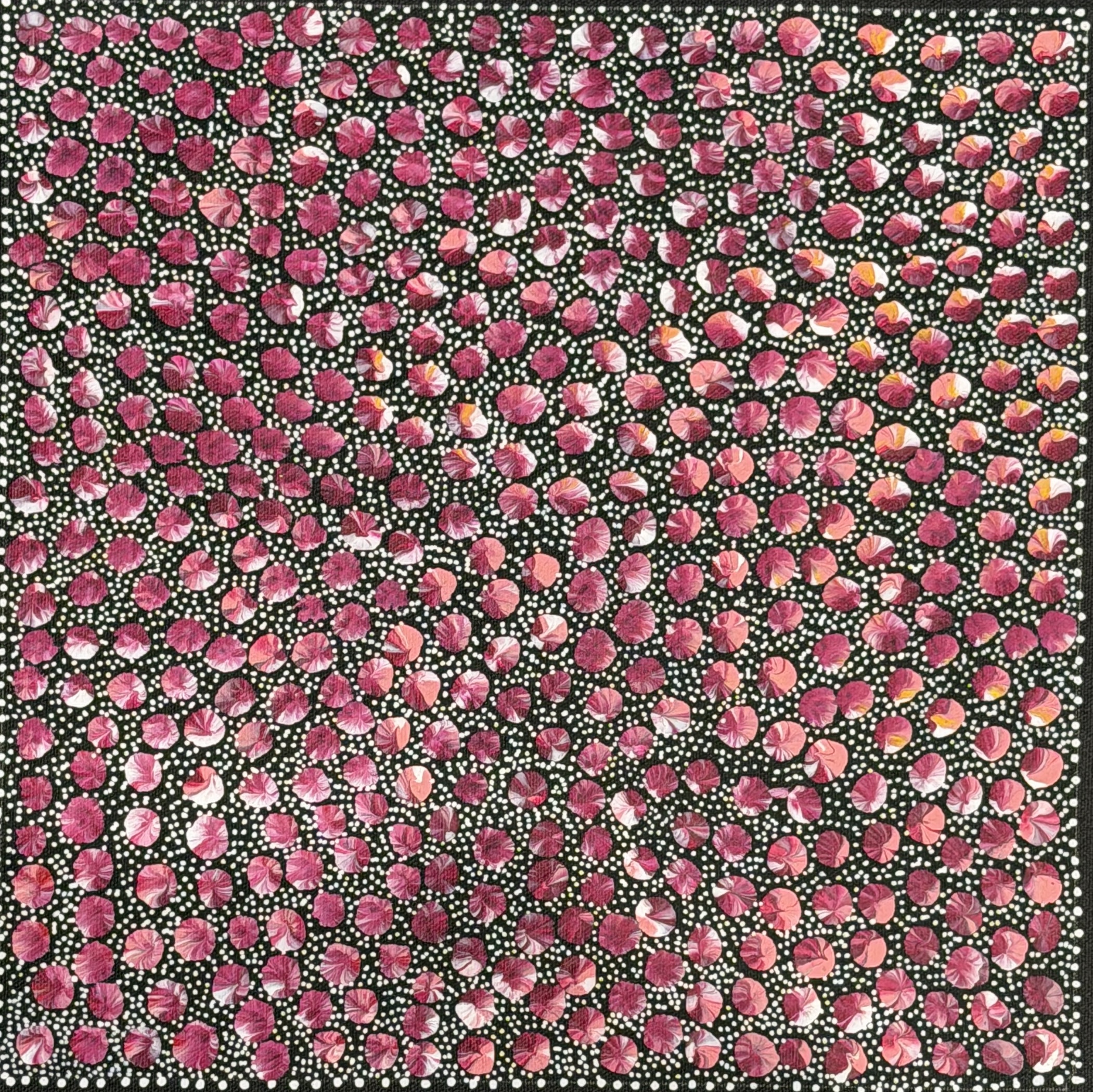 ブッシュプラムドリーミング