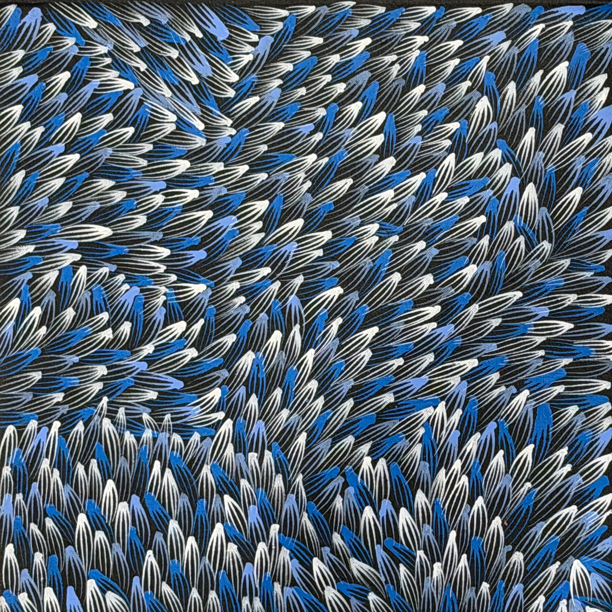 ブッシュメディスン