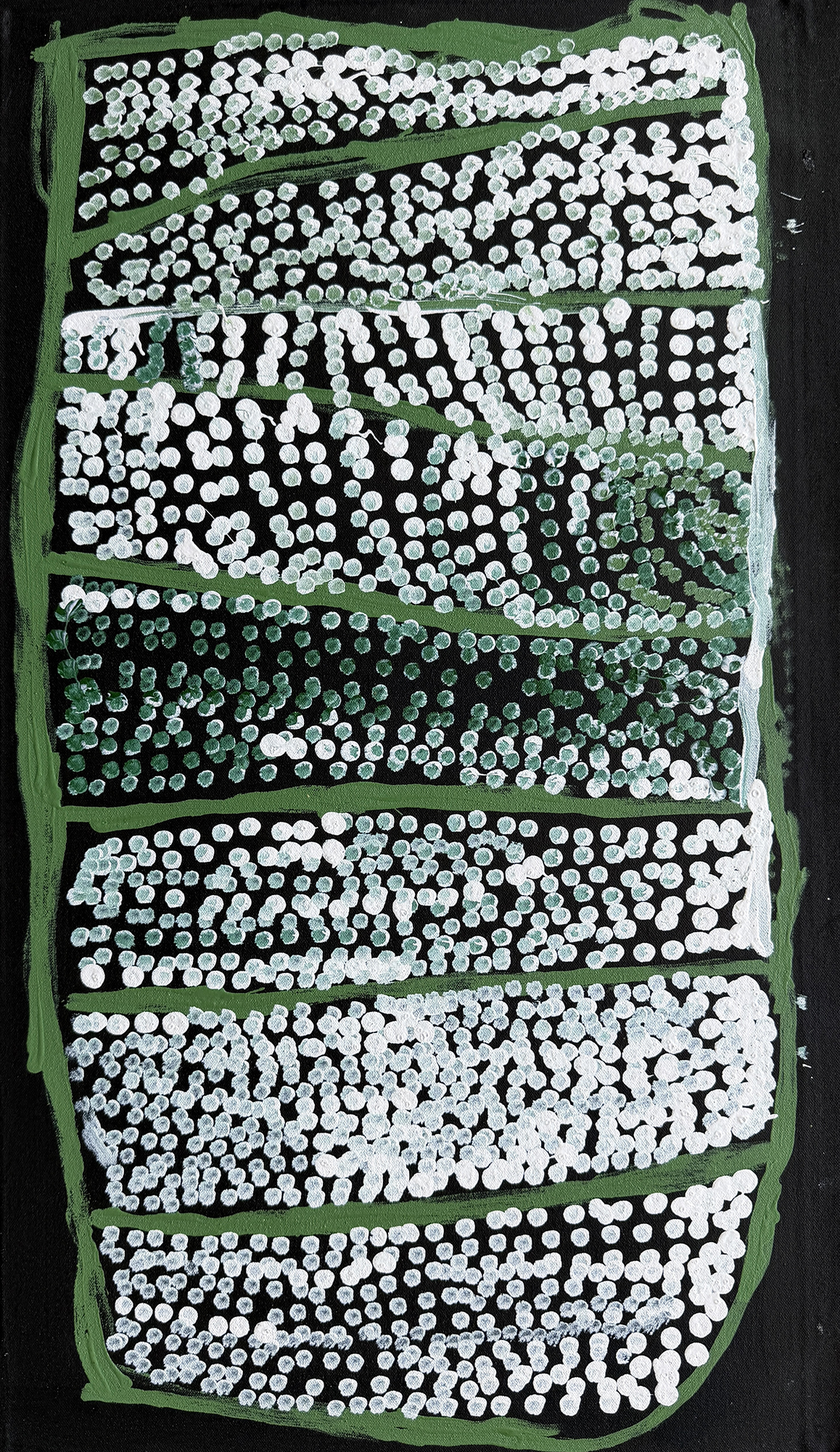 マイカントリー